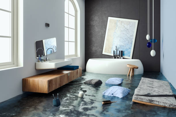 Best Professional water damage repair  in Harrodsburg, KY