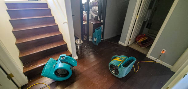 Best Water damage restoration company  in Harrodsburg, KY