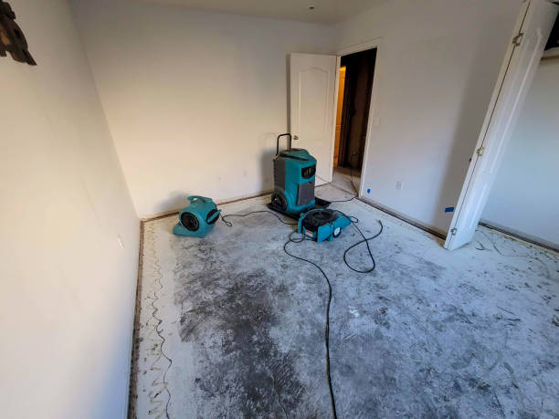 Best Local water damage restoration  in Harrodsburg, KY