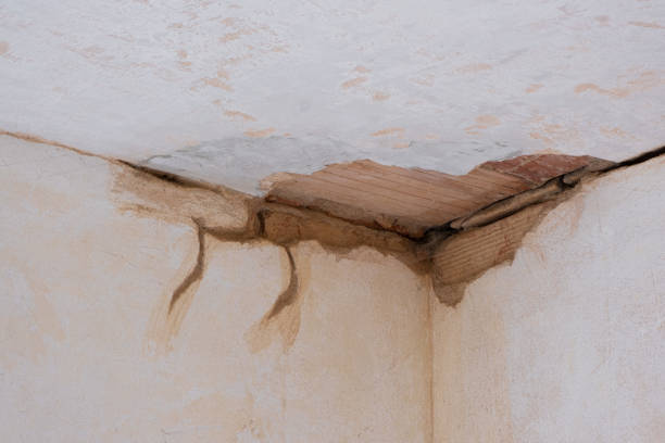 Best Water damage contractors near me  in Harrodsburg, KY