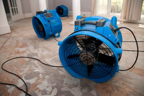 Best Flood restoration services  in Harrodsburg, KY