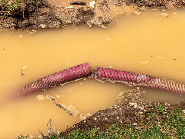 Water damage restoration process in KY